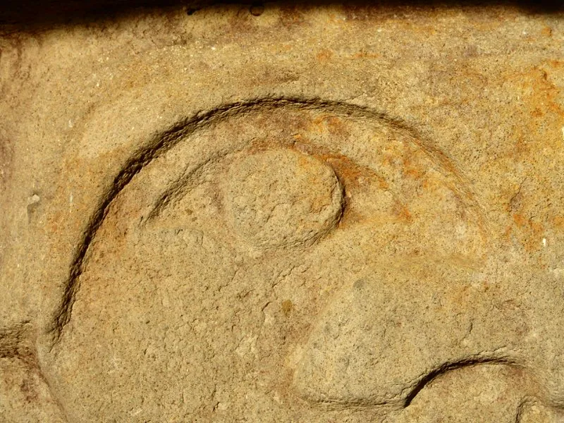 Muestra de la extraordinaria diversidad de formas y diseños de los ojos de la estatuaria.