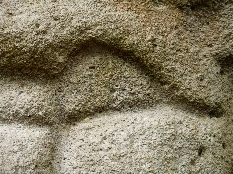Muestra de la extraordinaria diversidad de formas y diseños de los ojos de la estatuaria.