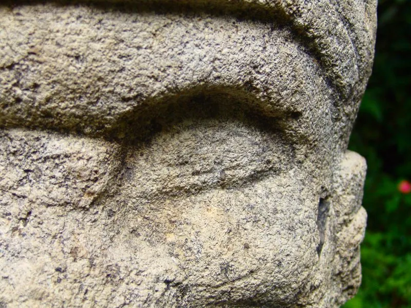 Muestra de la extraordinaria diversidad de formas y diseños de los ojos de la estatuaria.