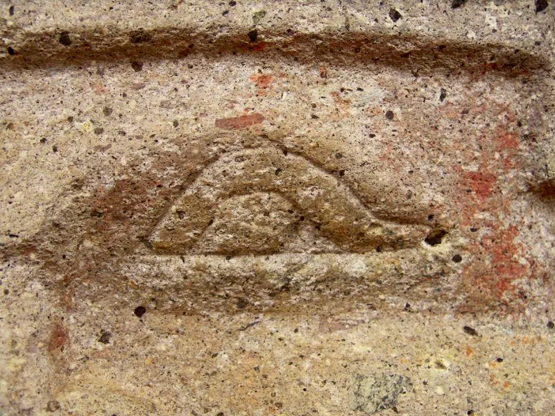 Muestra de la extraordinaria diversidad de formas y diseños de los ojos de la estatuaria.