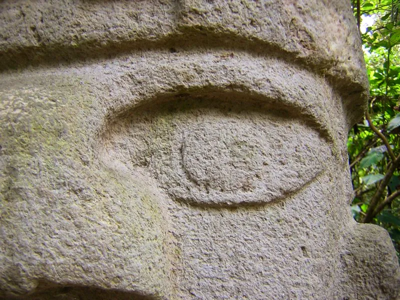 Muestra de la extraordinaria diversidad de formas y diseños de los ojos de la estatuaria.