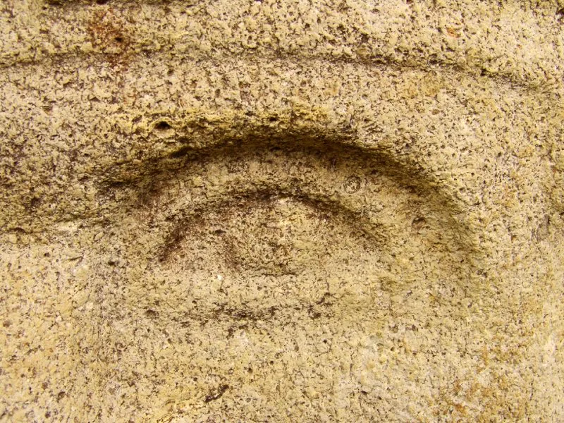 Muestra de la extraordinaria diversidad de formas y diseños de los ojos de la estatuaria.