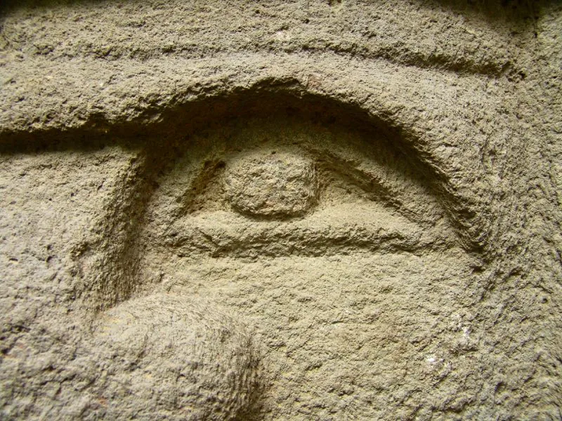 Muestra de la extraordinaria diversidad de formas y diseños de los ojos de la estatuaria.