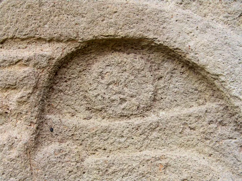 Muestra de la extraordinaria diversidad de formas y diseños de los ojos de la estatuaria.