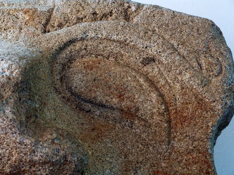 Muestra de la extraordinaria diversidad de formas y diseños de los ojos de la estatuaria.