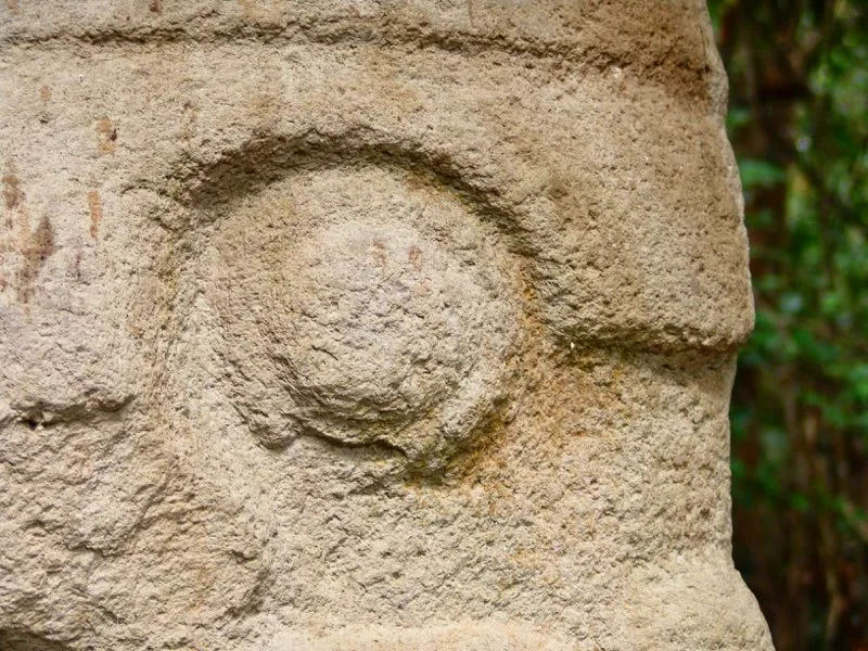 Muestra de la extraordinaria diversidad de formas y diseños de los ojos de la estatuaria.