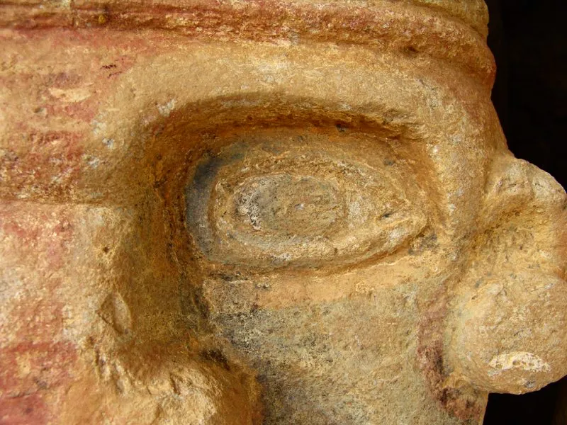 Muestra de la extraordinaria diversidad de formas y diseños de los ojos de la estatuaria.
