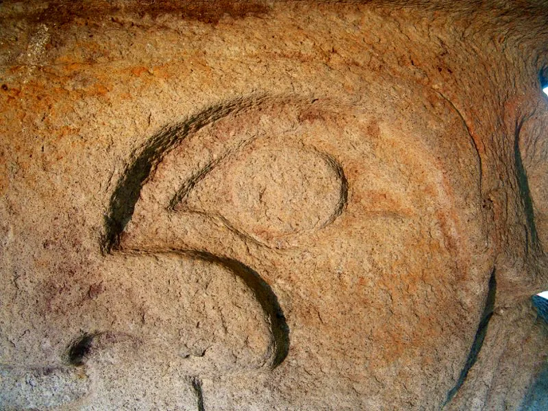 Muestra de la extraordinaria diversidad de formas y diseños de los ojos de la estatuaria.