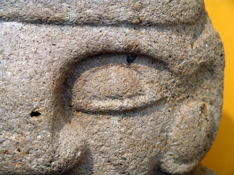 Muestra de la extraordinaria diversidad de formas y diseños de los ojos de la estatuaria.