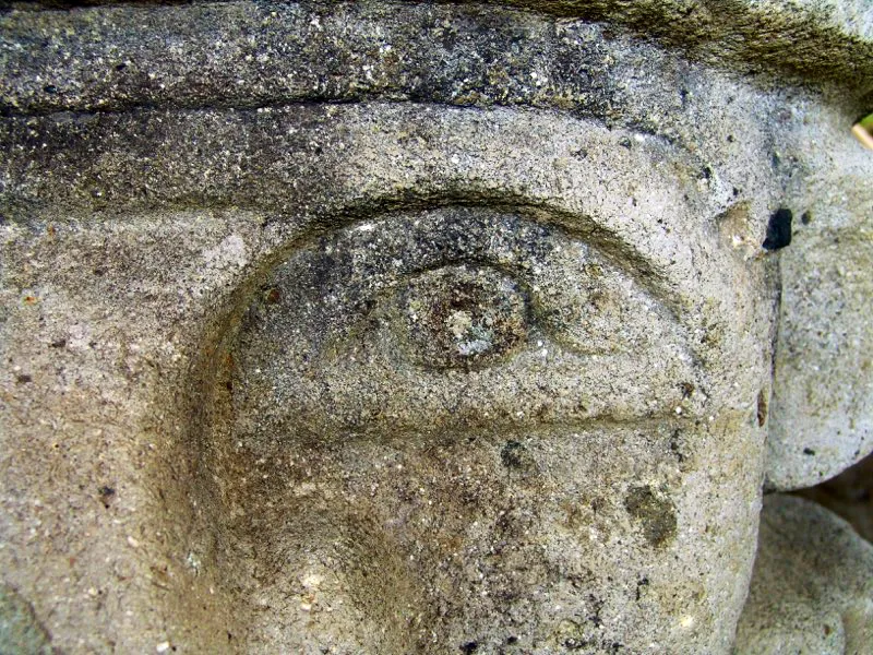 Muestra de la extraordinaria diversidad de formas y diseños de los ojos de la estatuaria.