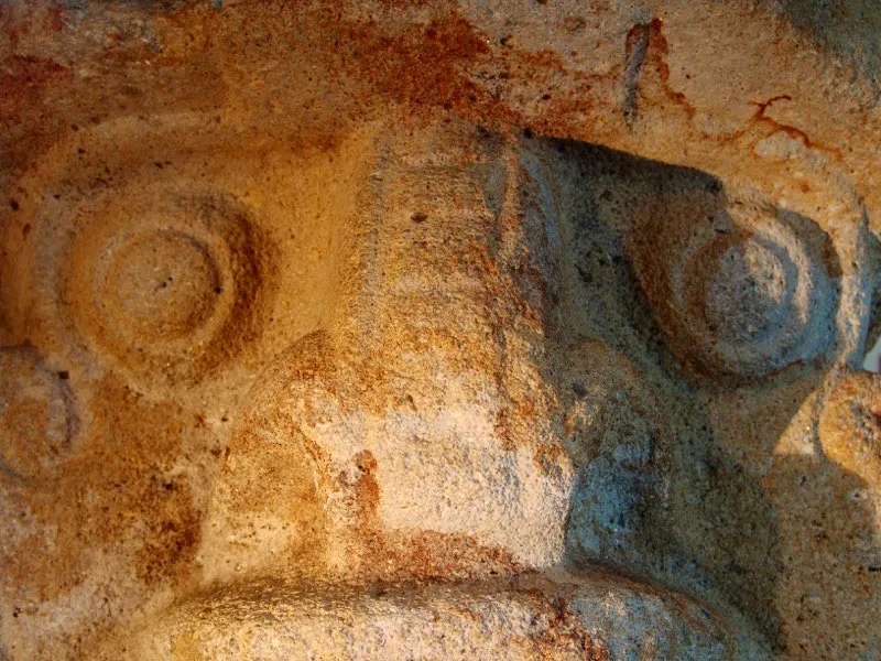 De los ojos no humanos en rostro humano, los más numerosos son los grandes ojos redondos, sin párpados, que aparecen en algo más de 30 estatuas y a los que se ha descrito como “ojos de pescado”, aunque lo más probable es que sean ojos de mono. No más de cinco estatuas tienen ojos rasgados o “atigrados”, que recuerdan a los del jaguar y quizás representan al auténtico “chamán-jaguar” o “jaguar-monstruo” que se ha querido ver, sin mayor fundamento, como la imagen emblemática de la estatuaria. De los ojos formados por figuras en síntesis geométrica, los más numerosos son aquellos compuestos de tal modo que, en conjunto con otras líneas del rostro, en especial de la nariz, representan aves de presa y que sin duda simbolizan la adquisición por la persona de ciertos poderes de las aves como la capacidad de volar y una vista aguda.
