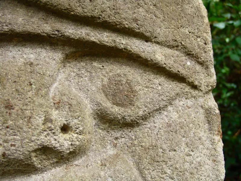 Muestra de la extraordinaria diversidad de formas y diseños de los ojos de la estatuaria.