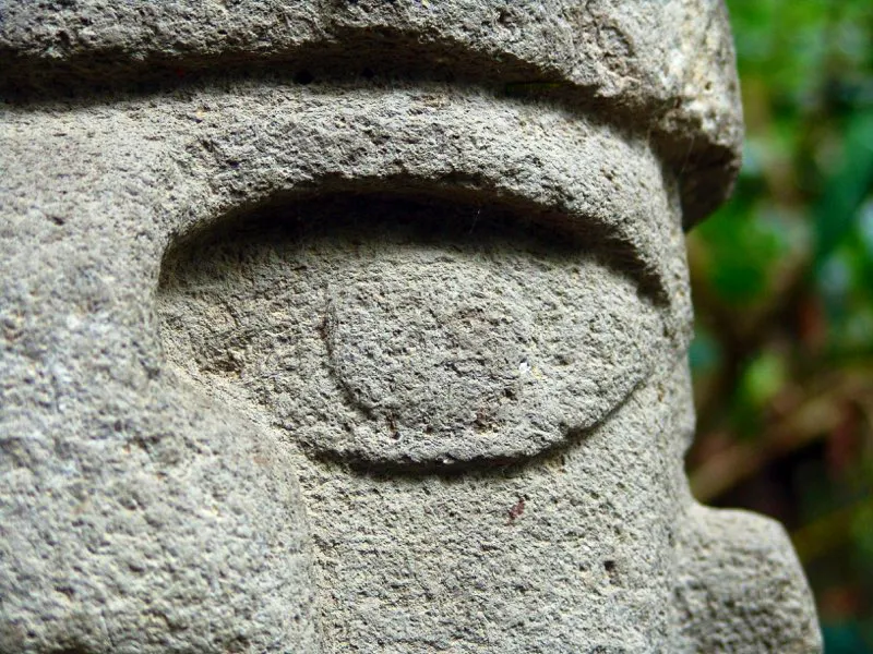 Muestra de la extraordinaria diversidad de formas y diseños de los ojos de la estatuaria.