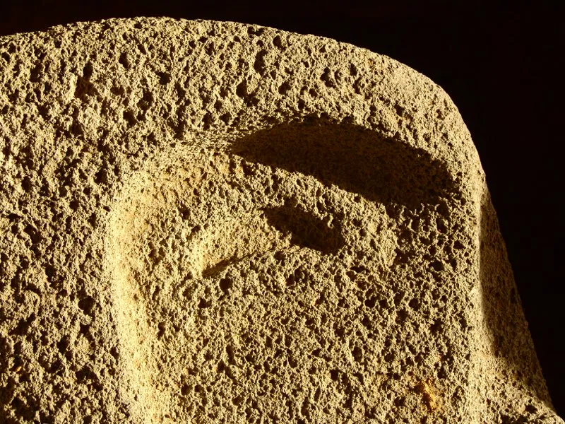 Muestra de la extraordinaria diversidad de formas y diseños de los ojos de la estatuaria.