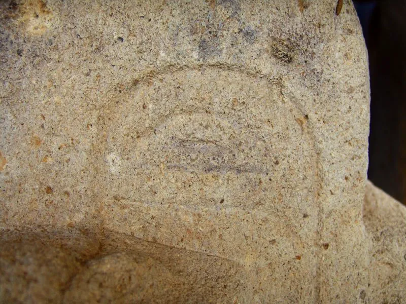 Muestra de la extraordinaria diversidad de formas y diseños de los ojos de la estatuaria.