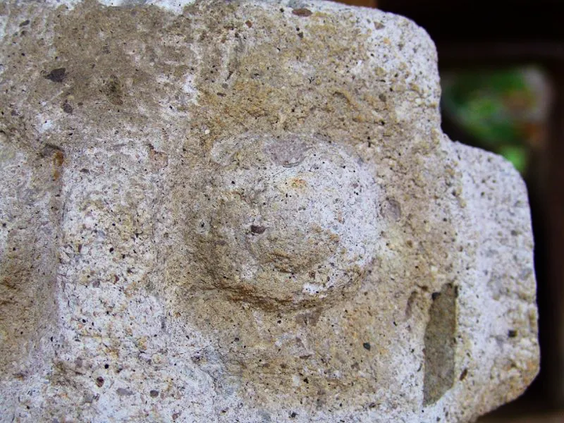 Muestra de la extraordinaria diversidad de formas y diseños de los ojos de la estatuaria.