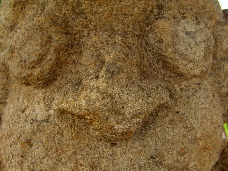 Muestra de la extraordinaria diversidad de formas y diseños de los ojos de la estatuaria.