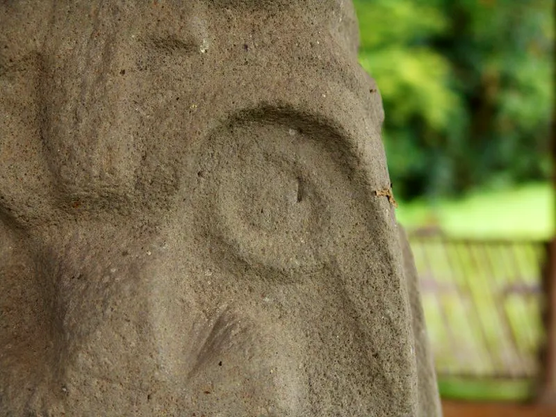 Muestra de la extraordinaria diversidad de formas y diseños de los ojos de la estatuaria.
