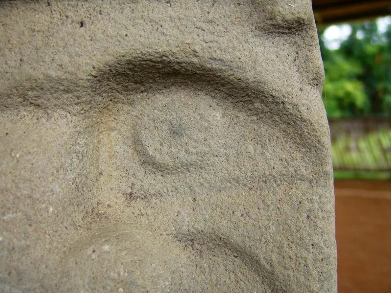 Muestra de la extraordinaria diversidad de formas y diseños de los ojos de la estatuaria.
