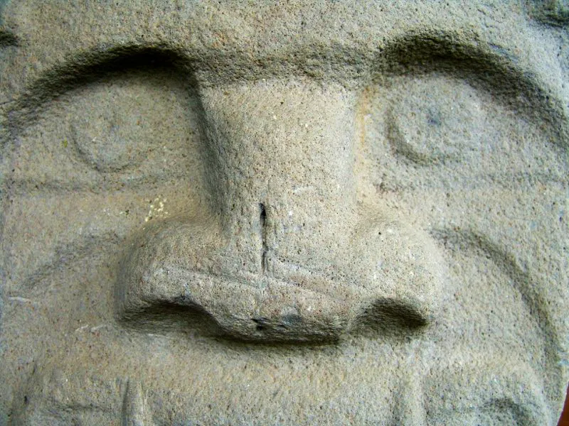 Muestra de la extraordinaria diversidad de formas y diseños de los ojos de la estatuaria.