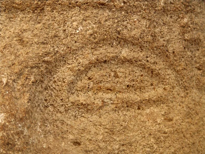 Muestra de la extraordinaria diversidad de formas y diseños de los ojos de la estatuaria.