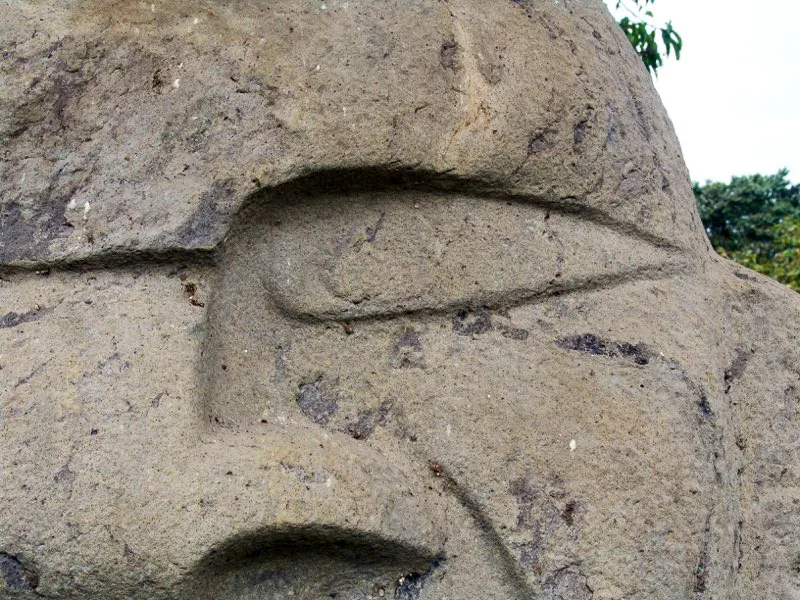Muestra de la extraordinaria diversidad de formas y diseños de los ojos de la estatuaria.