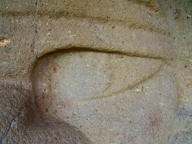 Muestra de la extraordinaria diversidad de formas y diseños de los ojos de la estatuaria.