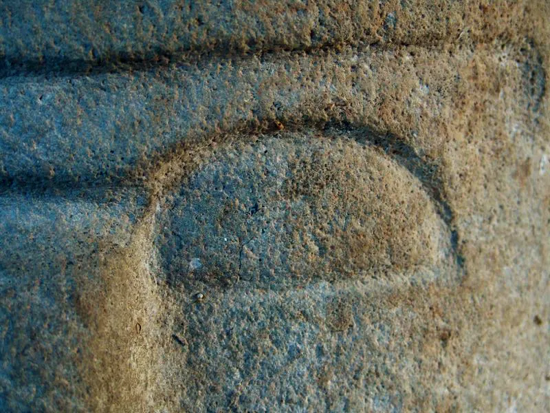 Muestra de la extraordinaria diversidad de formas y diseños de los ojos de la estatuaria.