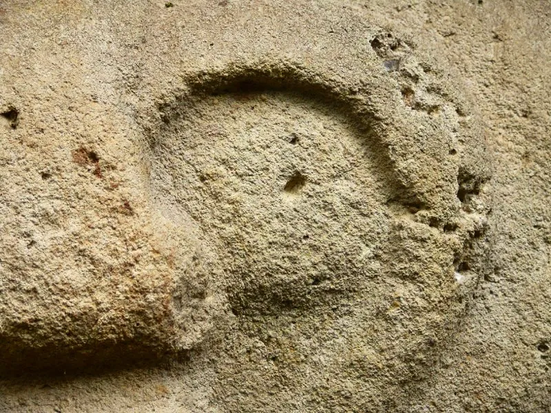 Muestra de la extraordinaria diversidad de formas y diseños de los ojos de la estatuaria.