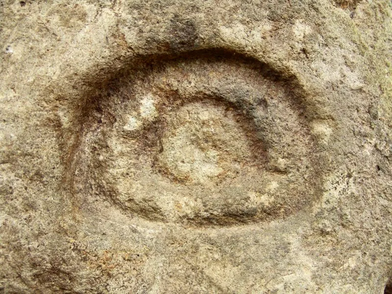 Muestra de la extraordinaria diversidad de formas y diseños de los ojos de la estatuaria.