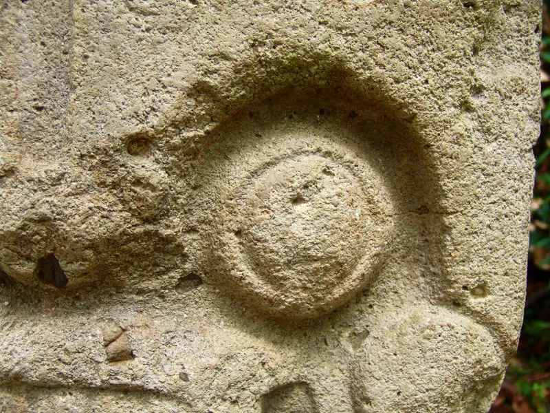 Muestra de la extraordinaria diversidad de formas y diseños de los ojos de la estatuaria.