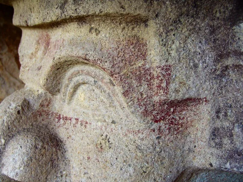 Muestra de la extraordinaria diversidad de formas y diseños de los ojos de la estatuaria.