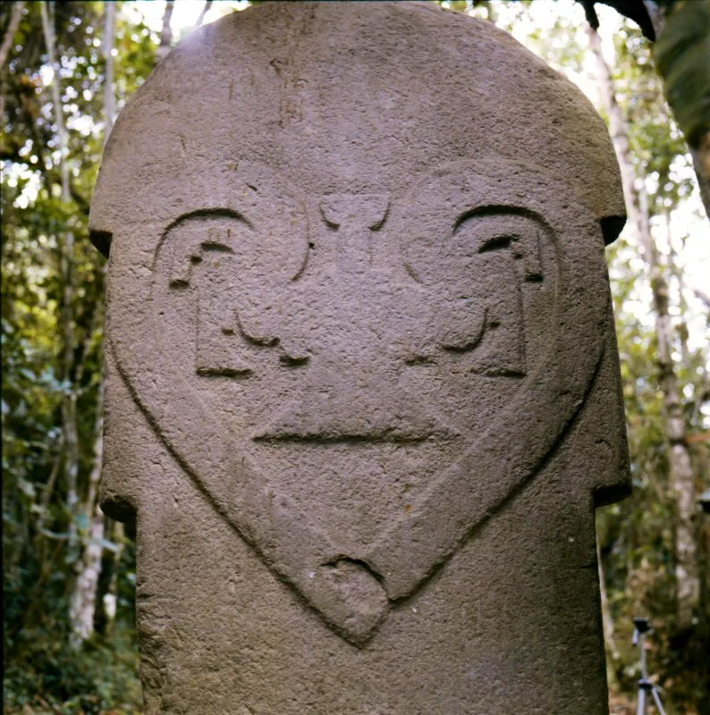 En la cara posterior de la estatua con dos mazos de la Mesita C, el corazón en que se ha transformado el mono-serpiente adquiere su nivel iconográfico más complejo, al integrar un nuevo elemento. Se trata indudablemente de un ave de presa inscrita entre las dos bandas circulares, con las alas desplegadas y cola en forma de abanico, muy similar a varios objetos de orfebrería de otros sitios de Colombia, especialmente pectorales. Gerardo Reichel identificó el ave de esta estatua como aquello que en su estudio iconográfico de las piezas de orfebrería del Museo del Oro llamó “Ícono A del vuelo chamánico”, anotando que “debajo de la curva de las alas… se ven las cabezas estilizadas de los pájaros auxiliares”. A la imagen del mono-serpiente como espíritu protector se agrega en este único caso el ave de presa.