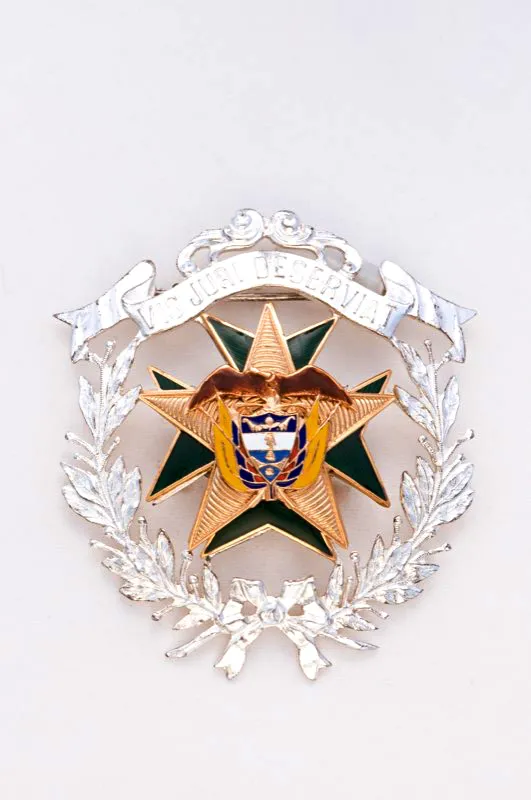 Estrella cívica categoría Gran Oficial.