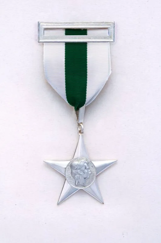 Medalla Mérito Ciudadano.