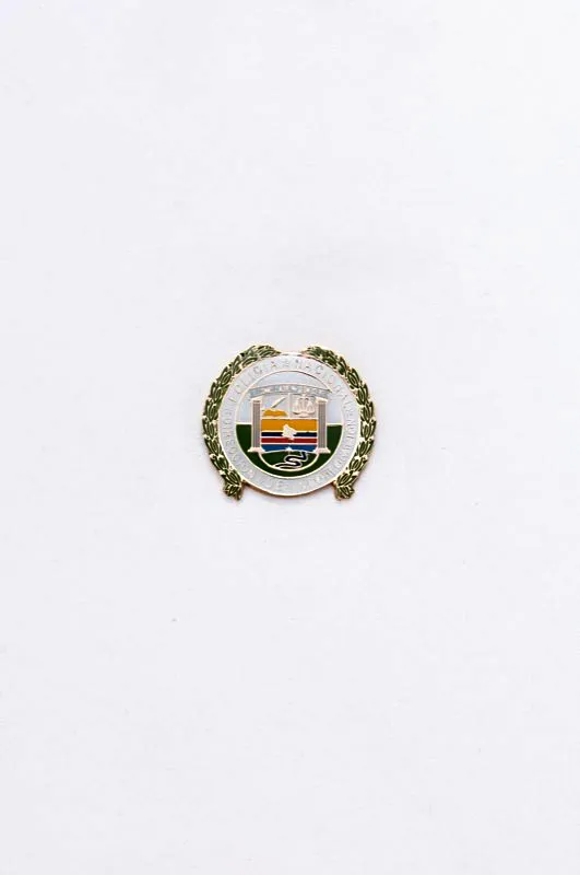 Distintivo de la Direccin de Incorporacin. 