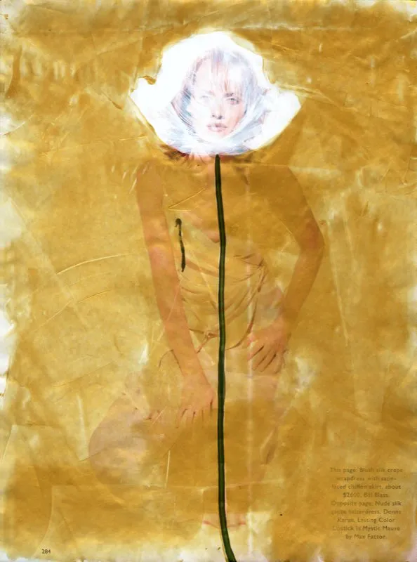De la serie Amapolas | 2008-2011 | Dimensiones varias