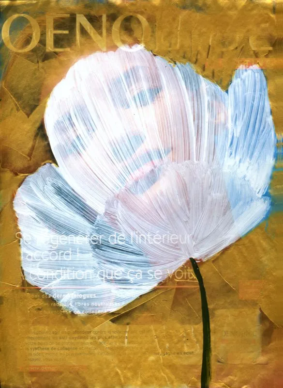 De la serie Amapolas | 2008-2011 | Dimensiones varias