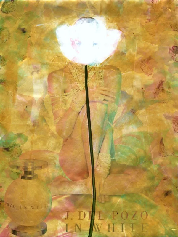 De la serie Amapolas | 2008-2011 | Dimensiones varias