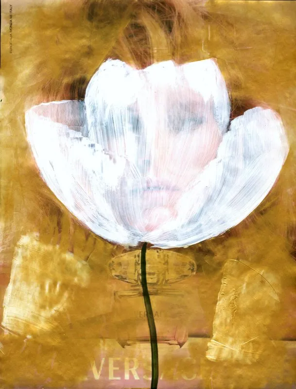 De la serie Amapolas | 2008-2011 | Dimensiones varias