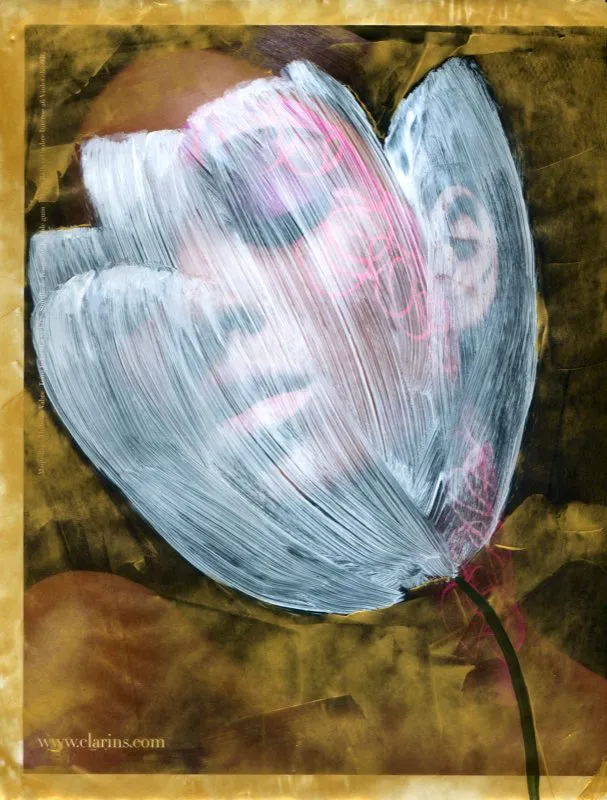 De la serie Amapolas | 2008-2011 | Dimensiones varias