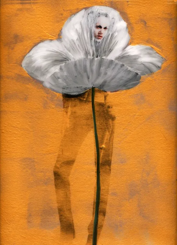 De la serie Amapolas | 2008-2011 | Dimensiones varias