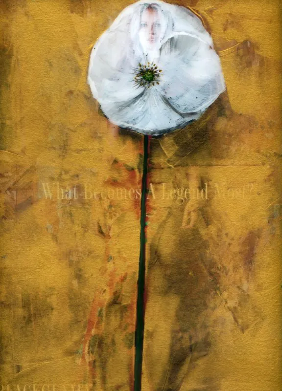De la serie Amapolas | 2008-2011 | Dimensiones varias