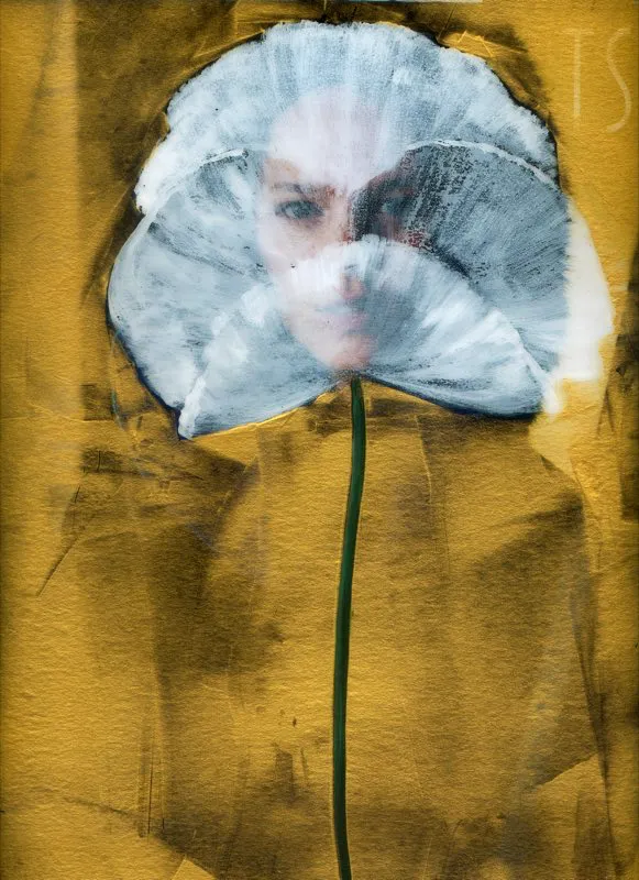 De la serie Amapolas | 2008-2011 | Dimensiones varias