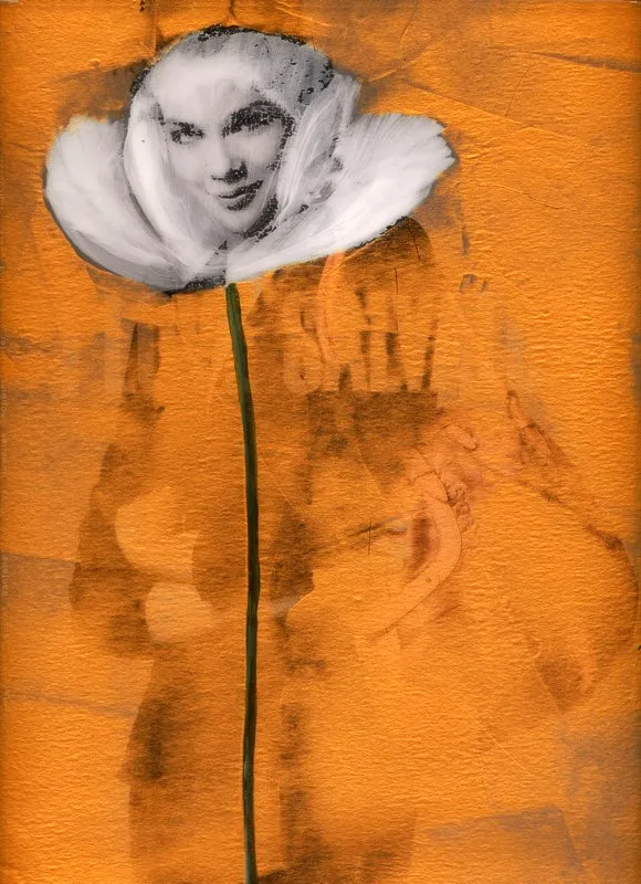 De la serie Amapolas | 2008-2011 | Dimensiones varias