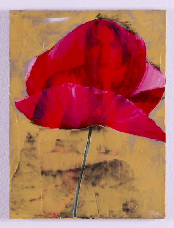 De la serie Amapolas | 2008-2011 | Dimensiones varias