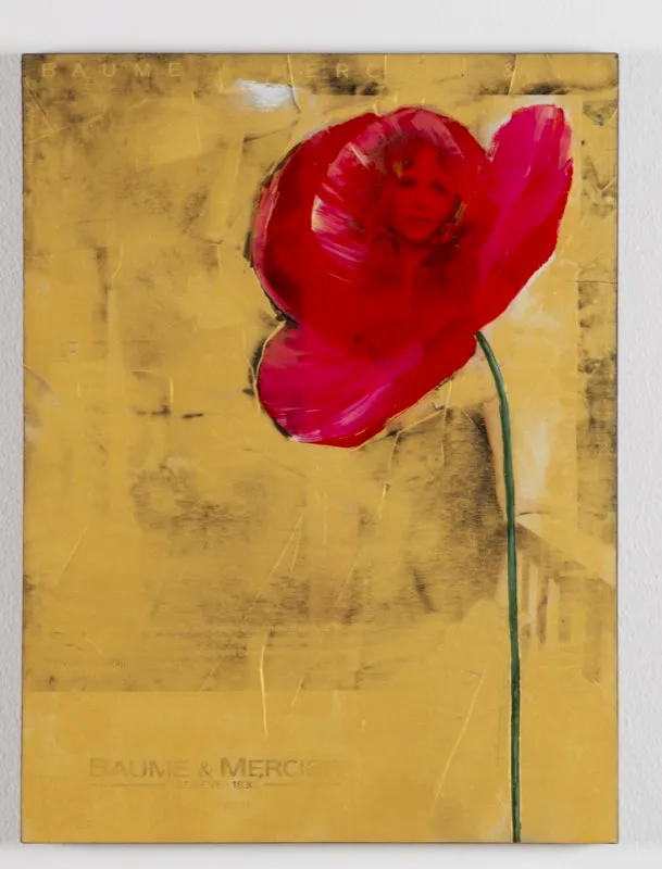 De la serie Amapolas | 2008-2011 | Dimensiones varias