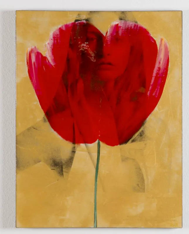 De la serie Amapolas | 2008-2011 | Dimensiones varias