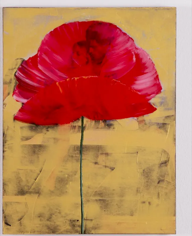 De la serie Amapolas | 2008-2011 | Dimensiones varias