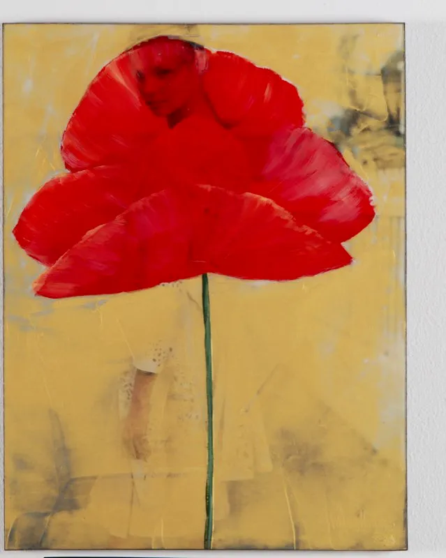 De la serie Amapolas | 2008-2011 | Dimensiones varias